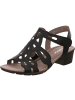 Paul Green Stiefelette in braun