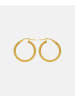Vanlere Creolen aus 375 Gelbgold