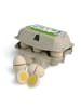 Erzi Eier zum Schneiden im Karton für Kaufladenzubehör in braun
