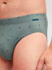 Calida Slip in laurel green