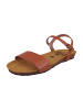 Plakton Sandalen braun