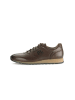 Pius Gabor Sneaker low in braun