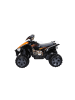 Wisam® Elektro Quad für Kinder Klein 2x45W Quad