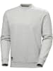 Helly Hansen Pullover "Evo Sweatshirt" in Grau