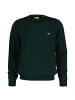 Gant Strickpullover in Dunkelgrün
