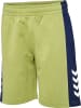 Hummel Kinder Short "Hmlrush Block Shorts" in Grün