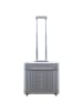 Aleon 17 - 2-Rollen-Businesstrolley 42 cm in silver