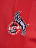 Hummel Hummel T-Shirt 1Fck 22/23 Fußball Herren Schnelltrocknend in TRUE RED