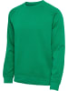 Hummel Sweatshirt Raglanärmel Hmlred Herren in JELLY BEAN