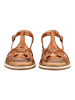 Pikolinos Sandalen in Brandy