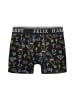 Felix Hardy Boxer in Schwarz-Navy