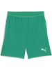 Puma Sporthose "TeamCUP Shorts" in Grün