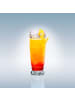 Villeroy & Boch 4er Set Longdrinkgläser Boston in 300 ml in transparent