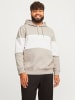 JACK & JONES PLUS Kapuzenpullover in Moonbeam