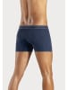 H.I.S Boxer in blau, mint, navy, anthrazit, schwarz