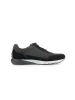 Pius Gabor Sneaker low in blau