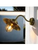 Licht-Erlebnisse Außen Wandlampe (B)36 x (H)23 cm in Messing