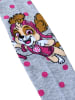 Paw Patrol 2er Pack Paw Patrol Strumpfhose Skye Strickstrumpfhose in grau/rosa
