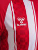 Hummel T-Shirt "Match Striped Jersey S/S" in Rot