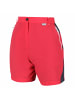 Regatta Outdoorshorts Sungari in RdSky/SealGr