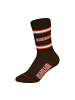 NFL Socken 6er Pack in Cleveland Browns/Mix