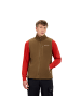 Berghaus Weste PRISM PT IA FL VEST AM in Braun5915