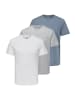 ONLY & SONS T-Shirt MAX in Blau / weiß / grau