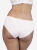 SugarShape Panty PUREBASIC in powder