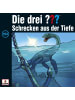 Sony Music Entertainment Die drei ??? 193. Schrecken aus der Tiefe (Fragezeichen)