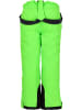 Zigzag Skihose Provo in 3002 Green Gecko