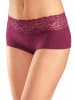 Vivance by Lascana Panty in petrol, taupe, bordeaux