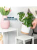 bremermann 4tlg-Set Blumenhocker
