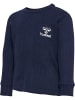 Hummel T-Shirt Hmlsami Jungen in BLACK IRIS