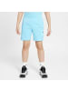 Nike Kurze Hose für Herren in uni