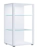 VCM  Holz Glas Stand Vitrine Sammelvitrine Glasol XL in Weiß