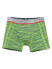 comazo Jungen Trunks in Lime
