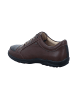 Finn Comfort Schnürschuh in braun
