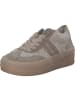 Gabor Fashion Schnürschuhe in Beige