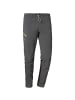 Schöffel M PANTS HESTAD LIGHT in Grau