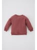 DeFacto Sweatshirt REGULAR FIT in Hell Bordeaux