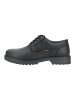 Camel Active Halbschuhe in Schwarz/Schwarz