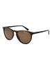 Polaroid Frauen Sonnenbrille Panto Braun