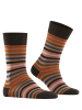 Falke Socken Tinted Stripe in Canvas