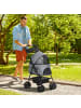 Pawhut Hundewagen 67L x 45B x 96H cm