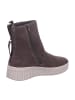 Gabor Stiefeletten/Boot in braun