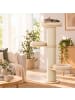 relaxdays Kratzbaum in Beige/ Natur - (H)187 x (D)46 cm
