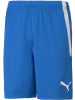 Puma Sporthose "TeamLIGA Shorts" in Blau