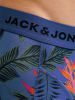 Jack & Jones 12er-pack Trunks in Black