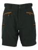 Whistler Shorts Stian in 3053 Deep Forest