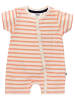 ebbe Shorty Sean in Coral Stripe